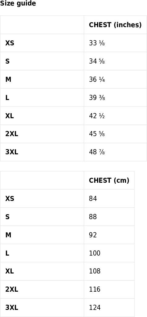 RUSH ORDER: Women's Panic Inspired ATHLETIC t-shirt