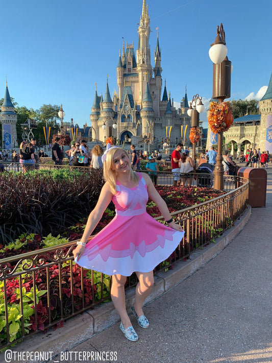 Cinderella Pink Inspired Skater Dress