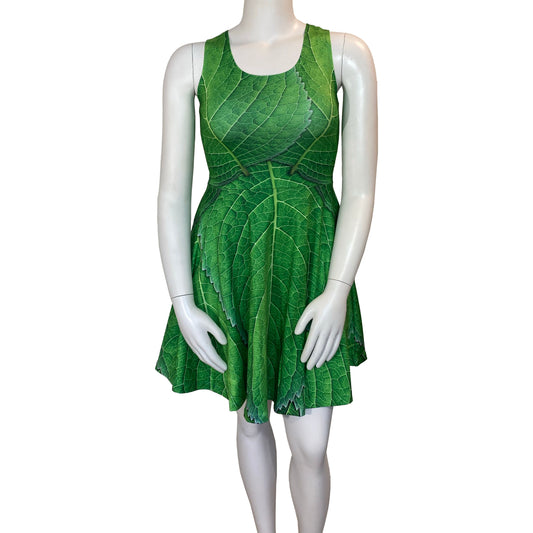 Tinker Bell Peter Pan Inspired Sleeveless Flare Dress