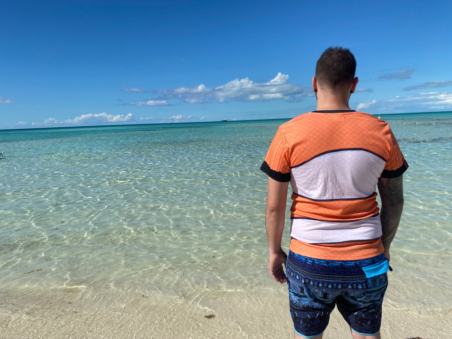 RUSH ORDER: Men's Finding Nemo Inspired Shirt