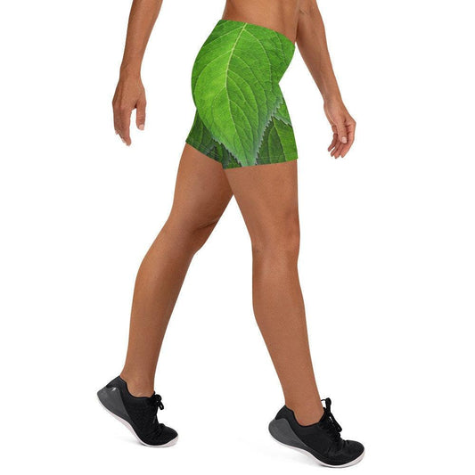 RUSH ORDER: Tinker Bell Inspired Shorts