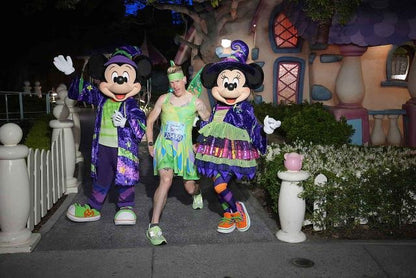 Tokyo Tinkerbell Inspired Skater Dress