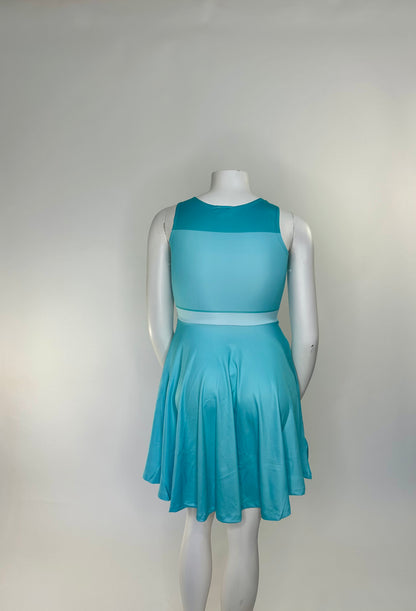 Princess Princess Jasmine Inspired Skater Dress