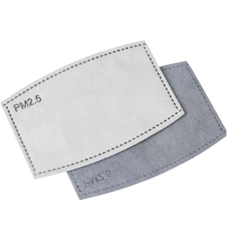 READY-to-SHIP Cinderella Inspired Fitted Face Mask with Filter Pocket