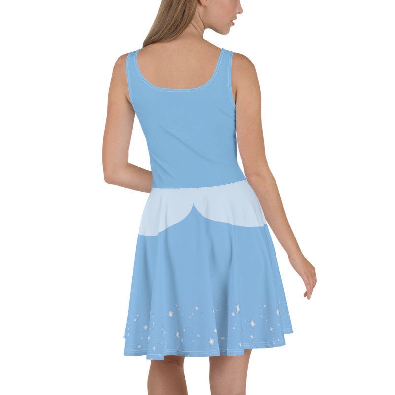 Cinderella Inspired Skater Dress