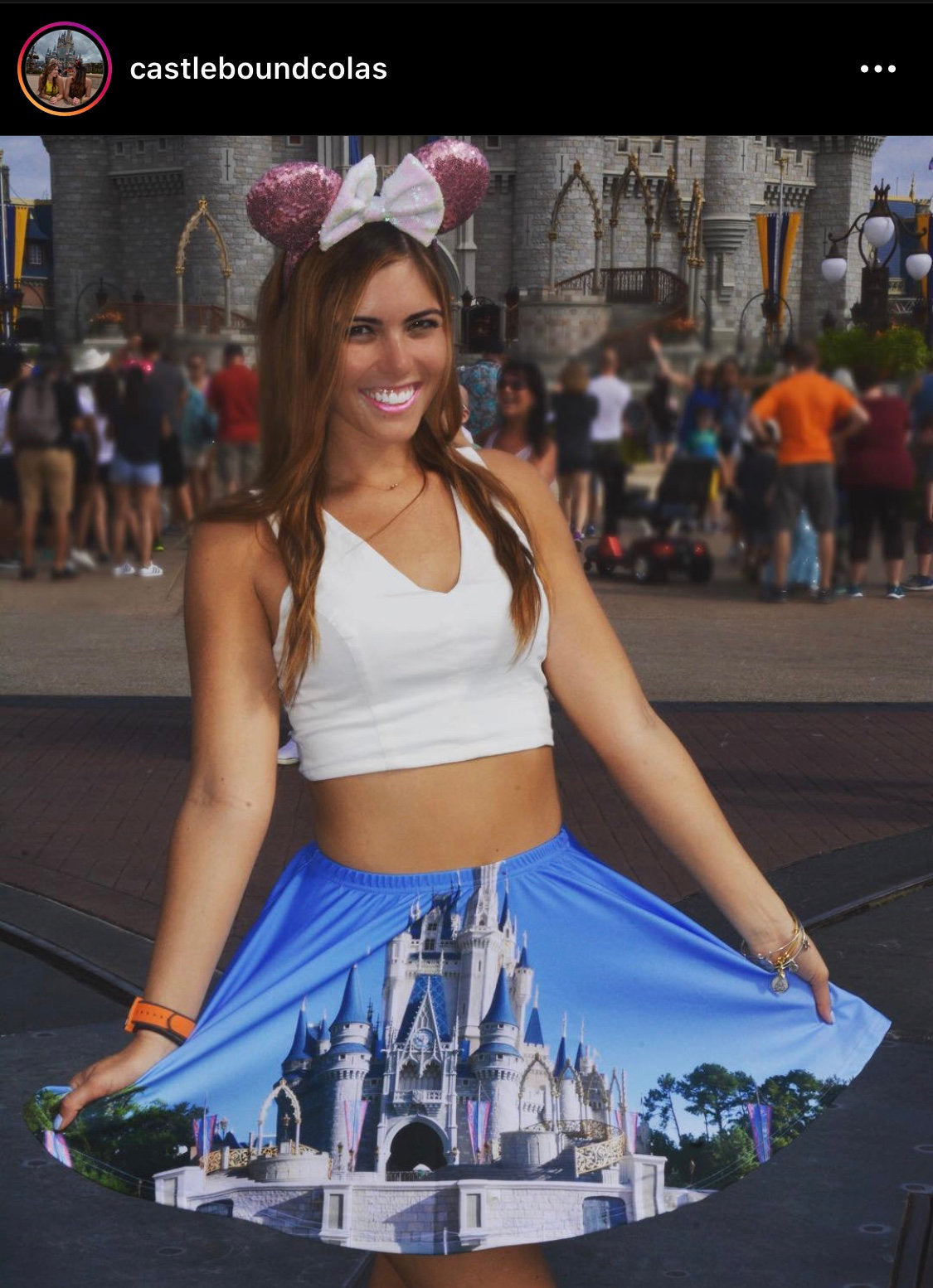 Cinderella Castle Inspired Skater Skirt