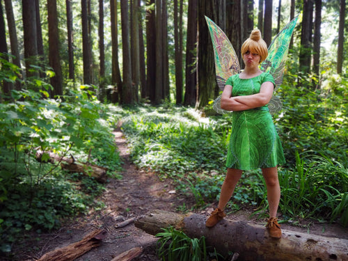 Tinker Bell Inspired Short Sleeve Skater Dress