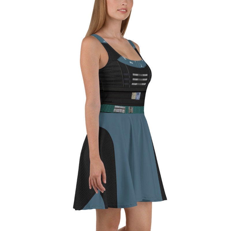 Princess leia 2024 skater dress